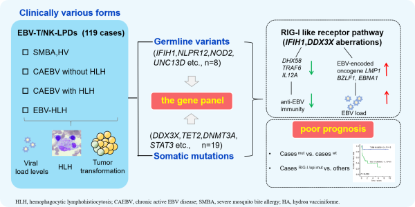 PGµç×Ó¡¤(Öйú)¹Ù·½ÍøÕ¾