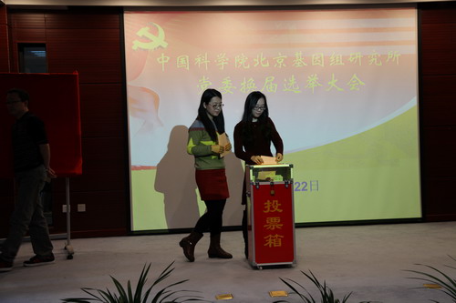 PG电子·(中国)官方网站